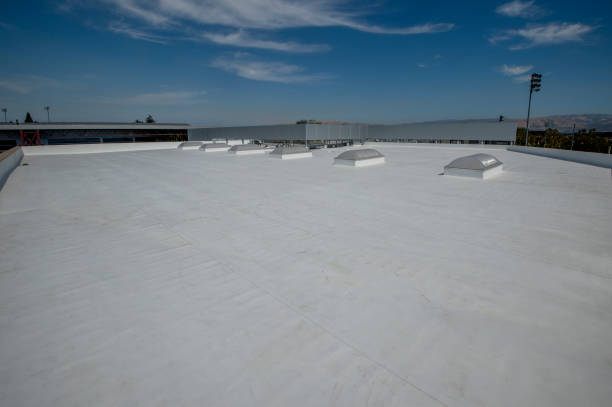 Best Roof Maintenance and Cleaning  in Fircrest, WA